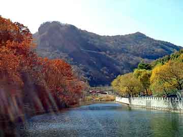 新澳门二四六天天开奖，黑帽seo自学